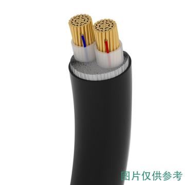 世腾 0.6/1kV铜芯交联聚乙烯绝缘低烟无卤聚烯烃护套阻燃A级电力电缆 WDZA-YJY-0.6/1kV-2*95