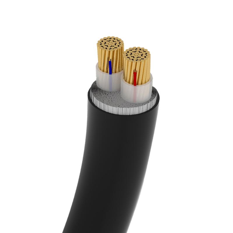 世腾 铜芯交联聚乙烯绝缘聚氯乙烯护套阻燃电缆 ZC-YJV-0.6/1kV-2*1.5