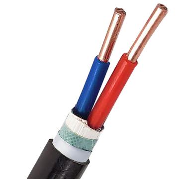 沈缆银环 铜芯铠装电缆 ZR-YJV22-0.6/1KV-2×1.5mm²