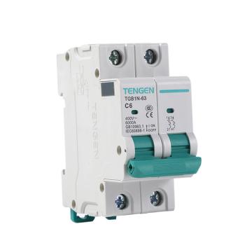 天正电气 微型断路器 TGB1N-63 1P+N C32
