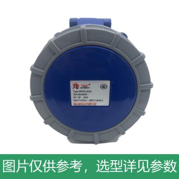 DELIXI/德力西 暗装插座DEP2-3232 32A 3芯 250V IP67 DHADEP23232U