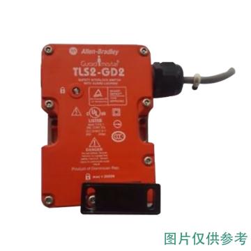 罗克韦尔 安全门开关 440G-T27127