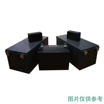 西恩迪 C&D 免维护铅酸蓄电池(如需配线提前沟通) C&D 12-65N LBT 12V65AH