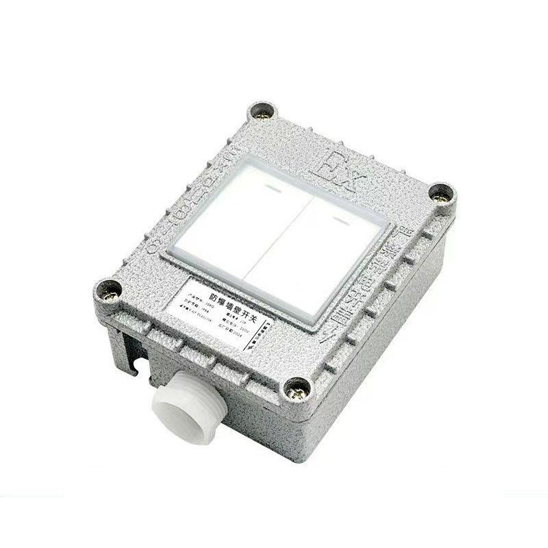 SHNALS 防爆二开双控开关220V/10A/123x99x53mm FBKG-RS