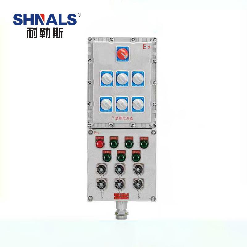 SHNALS 防爆检修电源插座箱六回路/三相五线63A/300*700mm XB-L63