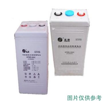 圣阳 阀控式密封铅酸蓄电池2V/100AH(如需配线提前沟通) GFMD-100C