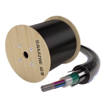 山泽 GYXTW中心管式铠装12芯单模室外光缆 GYXTW-123000