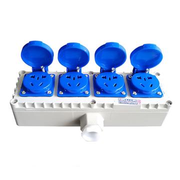 AYUFB 防爆插座125*755*55mm，圆方孔，铝合金，通头G3/4，220V，10A GTZ-10A-15,四联20孔