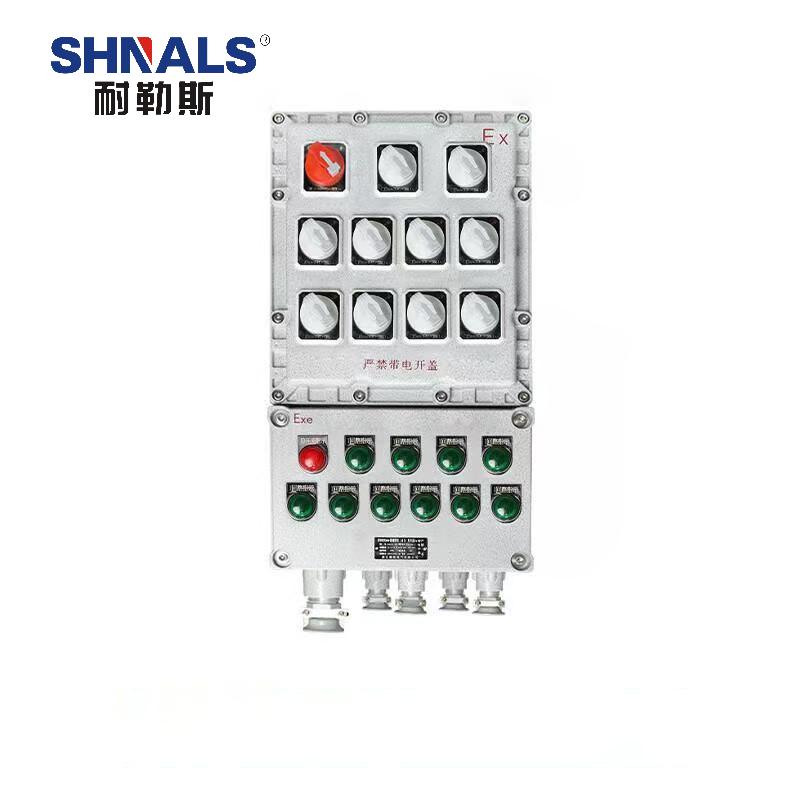 SHNALS 防爆电源箱配电箱总开关2P 80A+十回路/10位2P 16A NLS-801016
