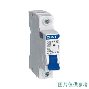 正泰 微型断路器NXB-63 1P 10A D型 NXB-63 1P D10