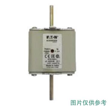 巴斯曼 高速方体熔断器 170M8557