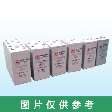 火炬 12V系列阀控式密封铅酸蓄电池 12V/150Ah(如需配线提前沟通) 6-GFM-150