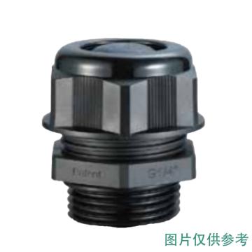 倍仕得 G型尼龙防水电缆固定头（黑色）G（PF）1/4"(英制），IP68，UL 94 V-2 IP68 UL 94 V-2 G1407B