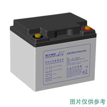 理士 AGM系列阀控式密封铅酸蓄电池(如需配线提前沟通) DJM12230S