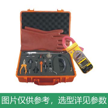 腾亚 蓄电池维护工具 TYDWH-40A