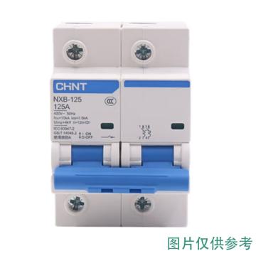 正泰 微型断路器NXB-125 2P 63A C型 NXB-125 2P C63