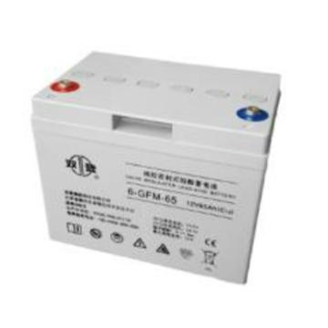 双登 阀控密封式铅酸蓄电池(如需配线提前沟通) 6-GFM-65(C10)