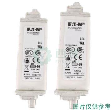 巴斯曼 高速方体熔断器 170M1563