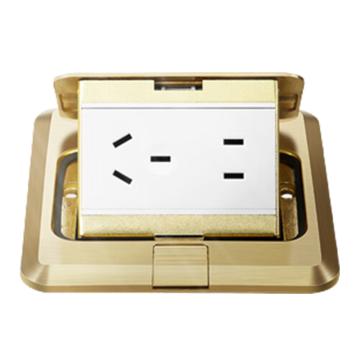 公牛 快弹拨启式铜面地脚插座隐藏式五孔10A，(原型号GD1Z223) GD1Z223S