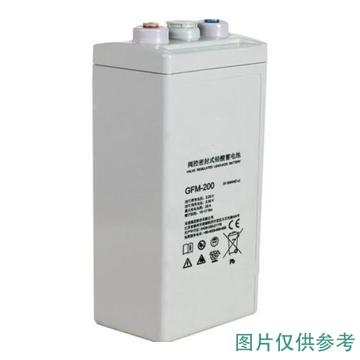 双登 阀控密封式铅酸蓄电池(如需配线提前沟通) GFM-200
