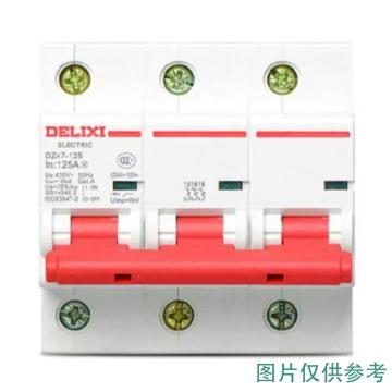 DELIXI/德力西 微型断路器DZ47-125 3P li(C) 80A DZ471253C80