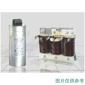 帝森克罗德 电容器 KLD-MK-25-480V