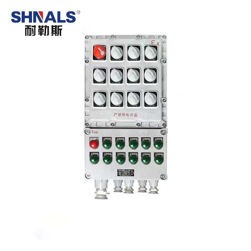 SHNALS 防爆电源箱配电箱总开关2P 80A+十一回路/11位2P 16A NLS-801116