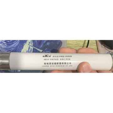 库柏西熔 熔断器 XRNP6-7.2/0.5A/50-1