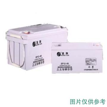 圣阳 阀控式密封铅酸蓄电池12V/100AH(如需配线提前沟通) SP12-100AH