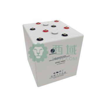 圣阳 阀控式密封铅酸蓄电池2V/1600AH(如需配线提前沟通) GFMD-1600C