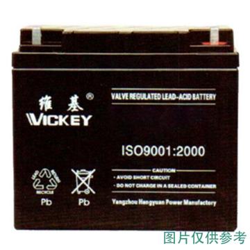 维基 蓄电池12V/150AH，483*171*241mm(如需配线提前沟通) 6-GFM-150