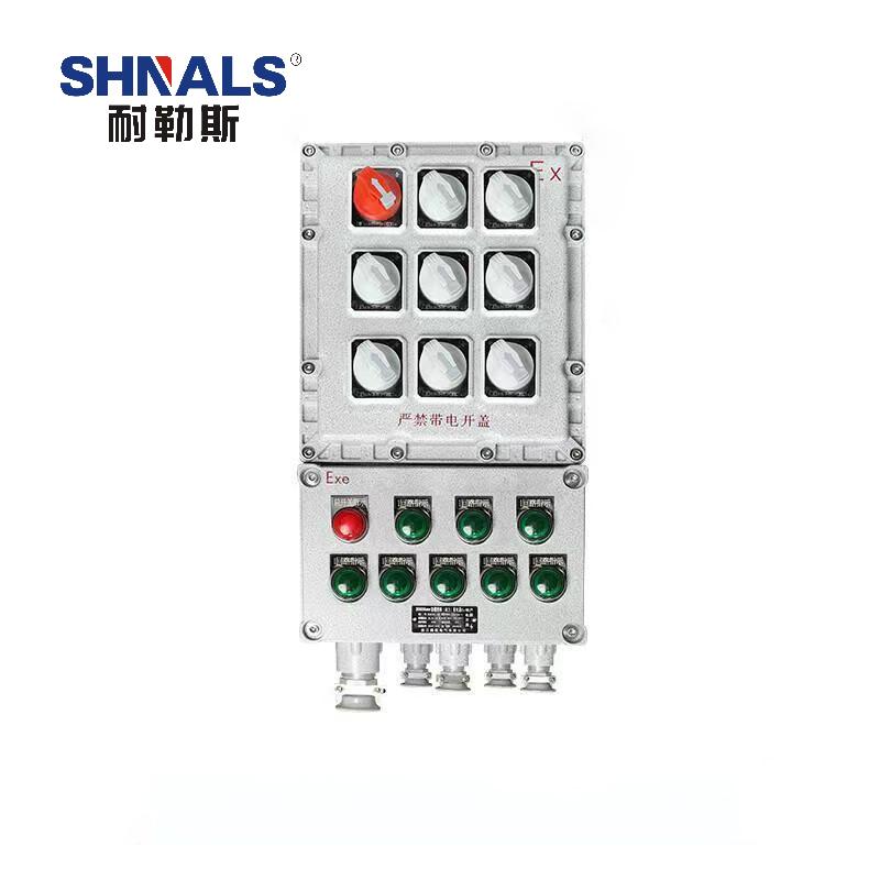 SHNALS 防爆电源箱配电箱总开关2P 63A+八回路/8位2P 16A NLS-63816