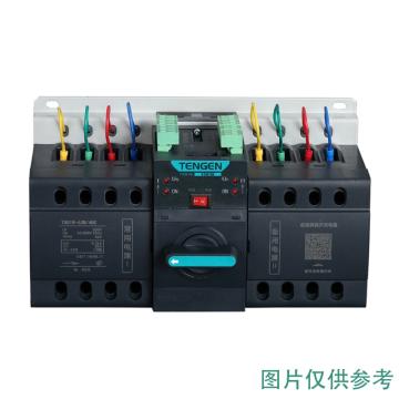 天正电气 双电源自动转换开关 TGQ1N-125L/3 YA 63A(祥云3.0)