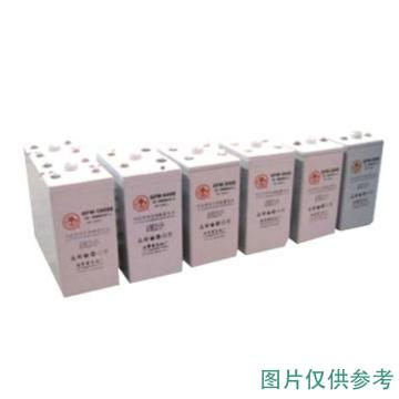 火炬 GFMJ系列固定型控阀密封式胶体蓄电池 12V/65Ah(如需配线提前沟通) 6-GFMJ-65