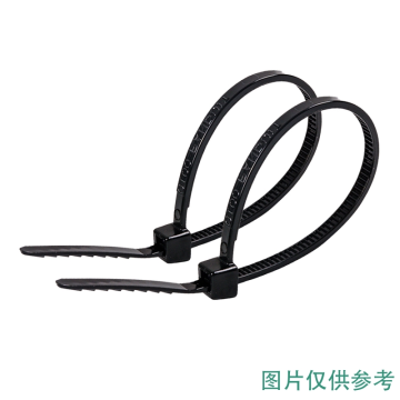 Panduit 耐候尼龙66自锁式扎带黑 室外使用 Strong Hold系列 S24-120-Q0