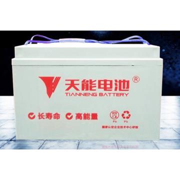 天能 蓄电池 6-EVF-83