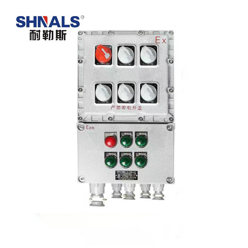 SHNALS 防爆电源箱配电箱总开关3P 60A+五回路/2位2P 16A/3位3P 32A NLS-6051632