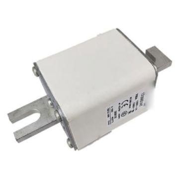 巴斯曼 熔断器 170M5811