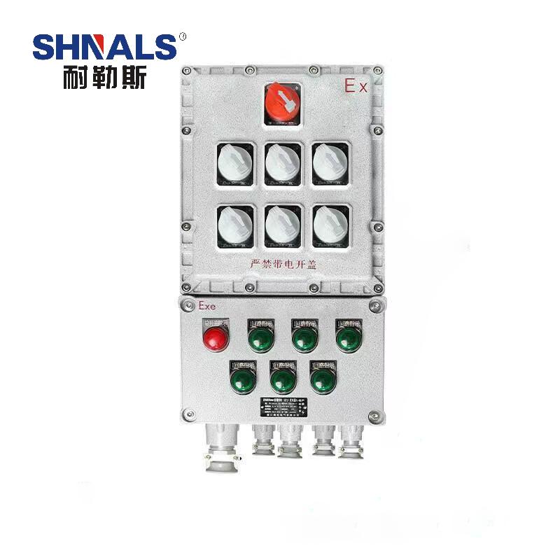 SHNALS 防爆电源箱配电箱总开关3P 100A+六回路/3位3P 16A/3位3P 32A NLS-10061632
