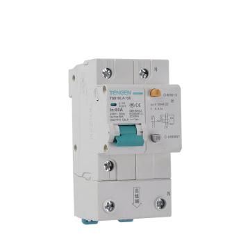 天正电气 微型剩余电流保护断路器 TGB1NLA-125 1P+N C100 100mA