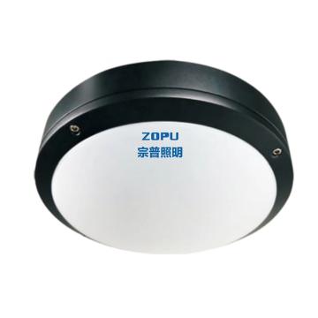 卓普 LED防眩吸顶灯6500K，白光，IP65，Φ275×78mm，吸顶式安装 ZPG315-30W