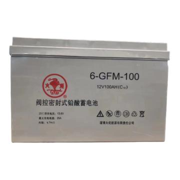 火炬 12V系列阀控式密封铅酸蓄电池 12V/100Ah(如需配线提前沟通) 6-GFM-100