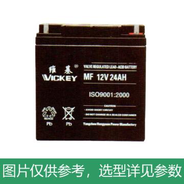 维基 蓄电池12V/65AH，330*172*180mm(如需配线提前沟通) 6-GFM-65