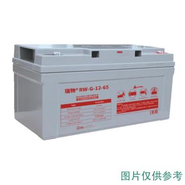 瑞物 蓄电池 RW-G-12-50