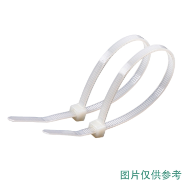 泛达 尼龙66自锁式扎带白 室内使用 Strong Hold系列 S4-18-M
