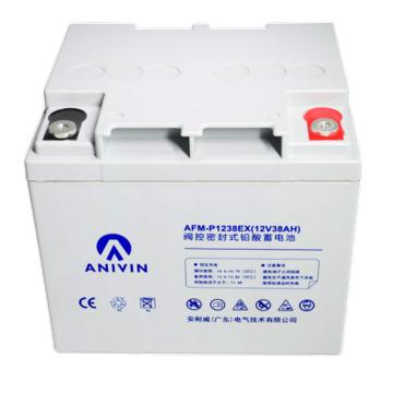 安耐威 阀控密封式免维护铅酸蓄电池12V38AH AFM-P1238EX