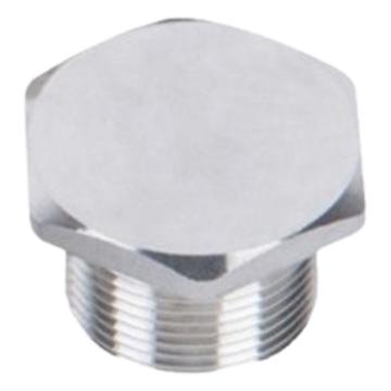 WAROM/华荣 防爆堵头 外六角BPT-G½"碳钢，Exd IIC Gb 外六角 BPT-G½"碳钢