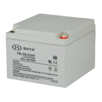 BATA 蓄电池 FM12-24（12V24AH)