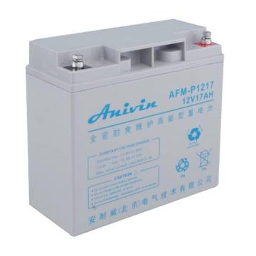 安耐威 阀控密封式免维护铅酸蓄电池12V17AH AFM-P1217EX