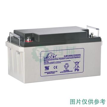 理士 AGM系列阀控式密封铅酸蓄电池(如需配线提前沟通) DJM1265